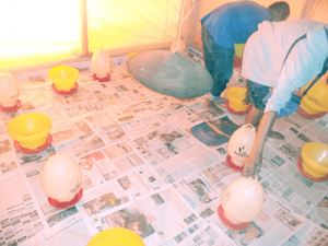 peletakan tempat makan