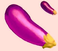 cara memperbesar kelamin pria