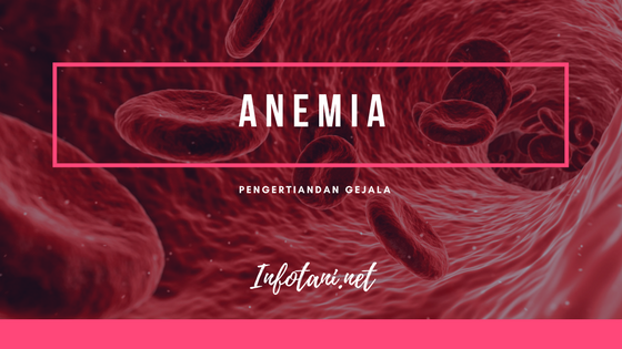 anemia