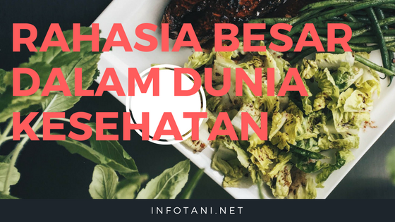 RAHASIA BESAR DALAM DUNIA KESEHATAN